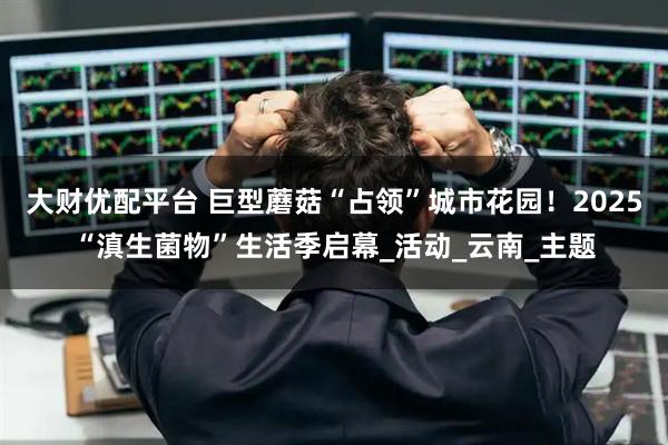 大财优配平台 巨型蘑菇“占领”城市花园！2025“滇生菌物”生活季启幕_活动_云南_主题