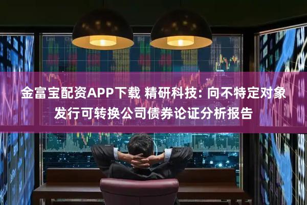 金富宝配资APP下载 精研科技: 向不特定对象发行可转换公司债券论证分析报告