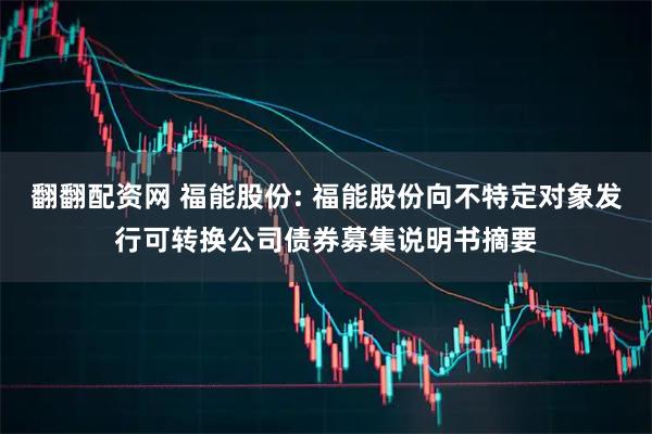 翻翻配资网 福能股份: 福能股份向不特定对象发行可转换公司债券募集说明书摘要