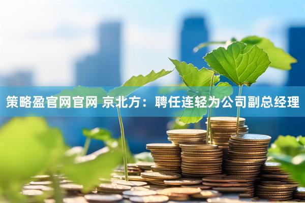 策略盈官网官网 京北方：聘任连轻为公司副总经理