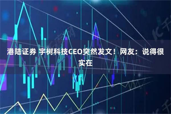 港陆证券 宇树科技CEO突然发文！网友：说得很实在
